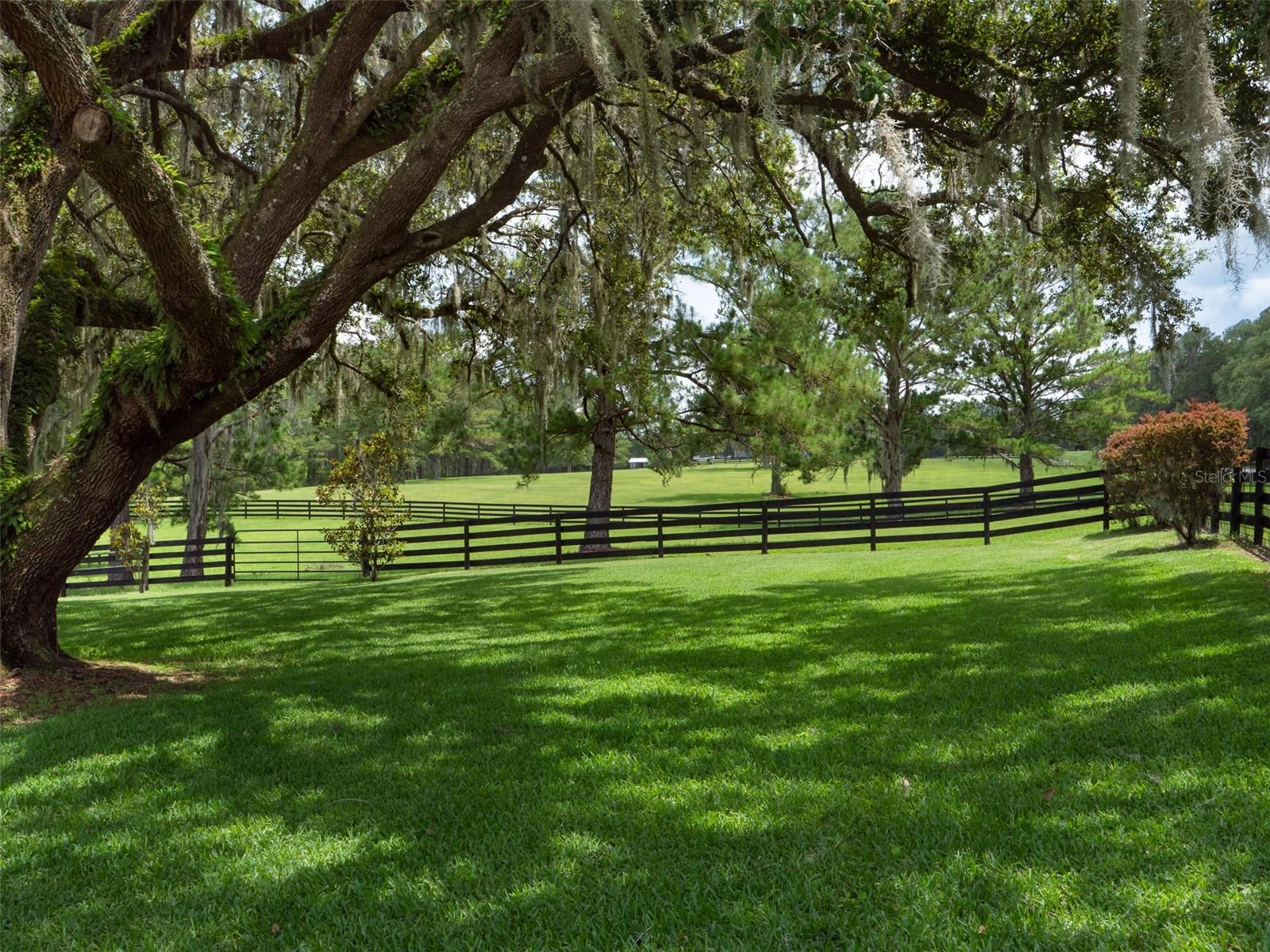 ESTATES AT COTTON PLANT - Farm