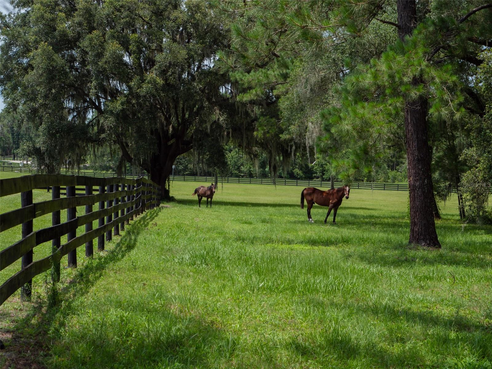 ESTATES AT COTTON PLANT - Farm