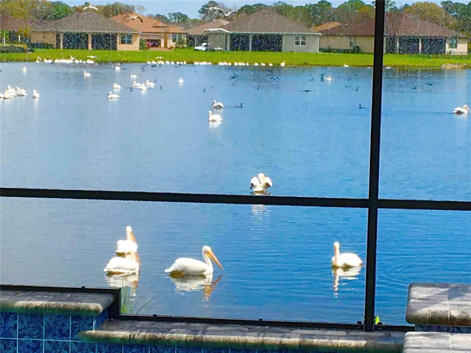 GREYHAWK LANDING WEST PH V-A - Residential