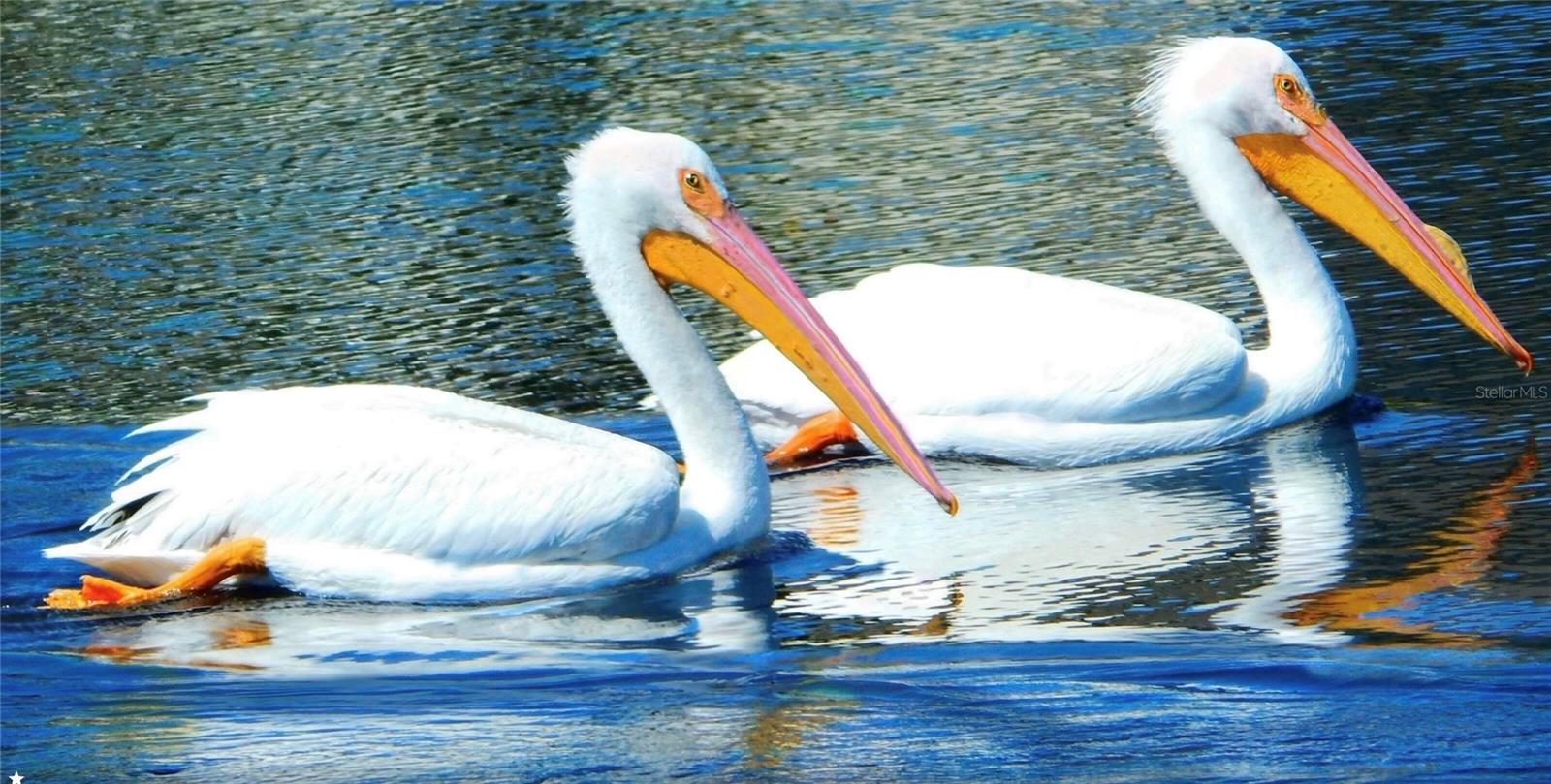 GREYHAWK LANDING WEST PH V-A - Residential