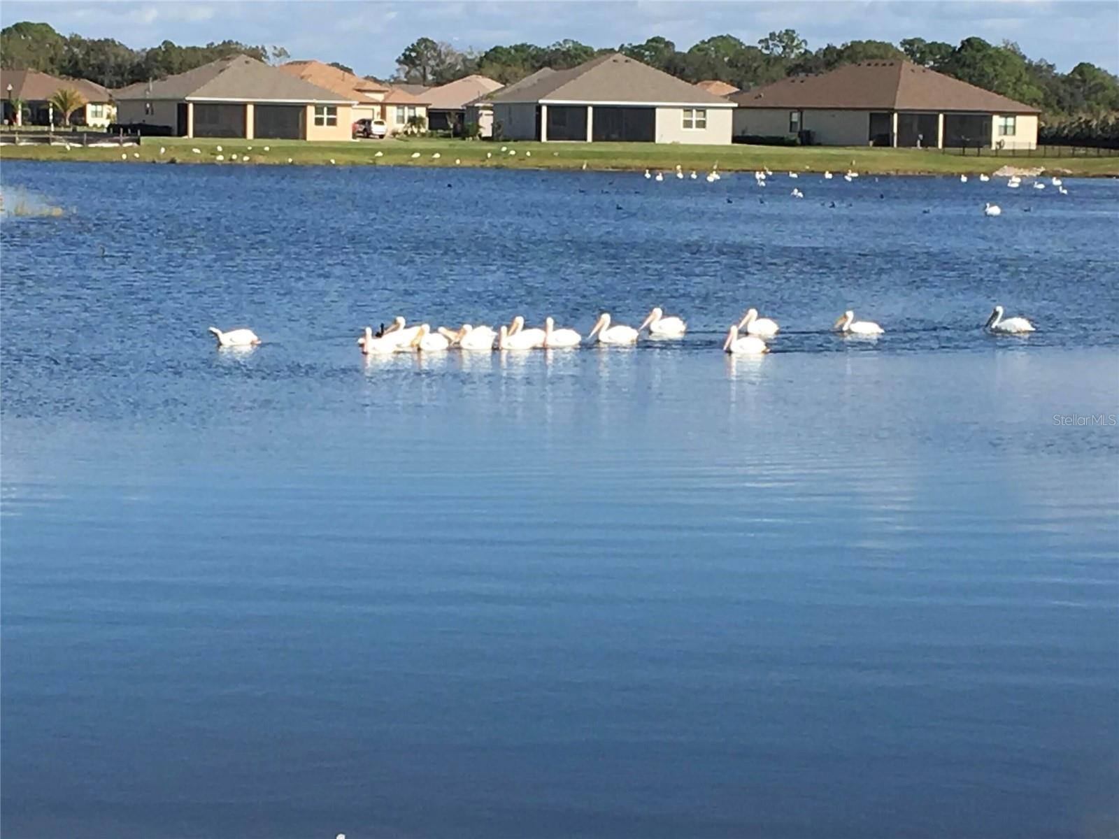 GREYHAWK LANDING WEST PH V-A - Residential