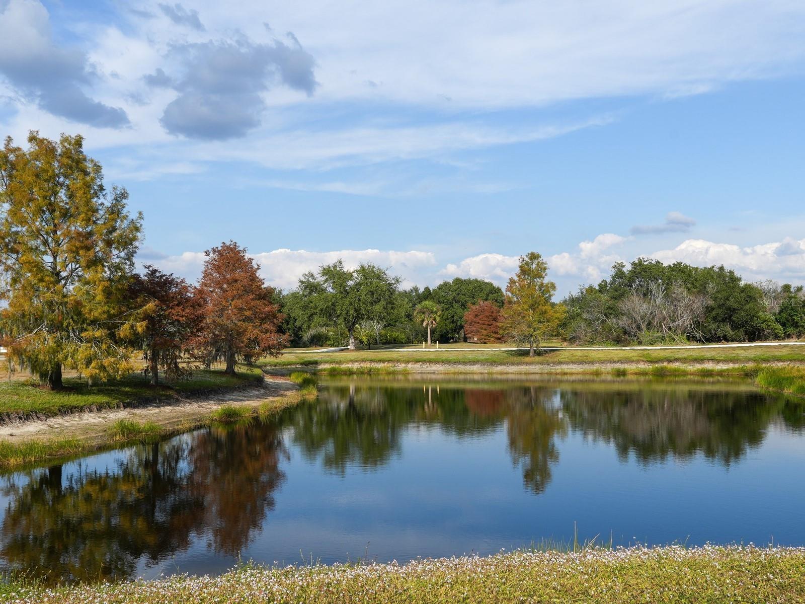 GREENBROOK VILLAGE SUBPHASE P - Residential
