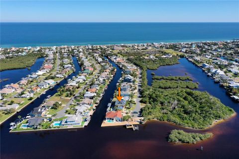 A home in FLAGLER BEACH