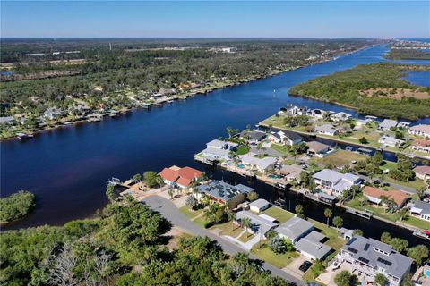 A home in FLAGLER BEACH