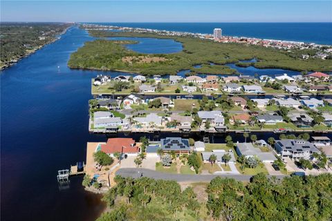 A home in FLAGLER BEACH