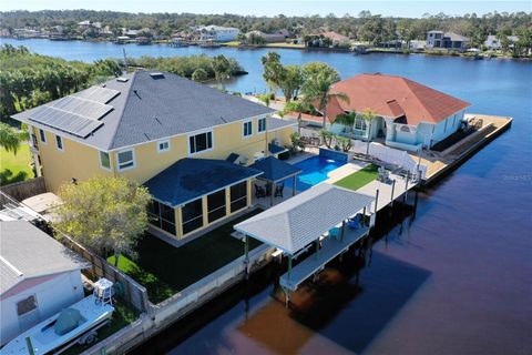 A home in FLAGLER BEACH