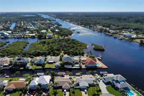 A home in FLAGLER BEACH