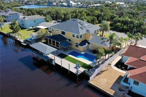 A home in FLAGLER BEACH