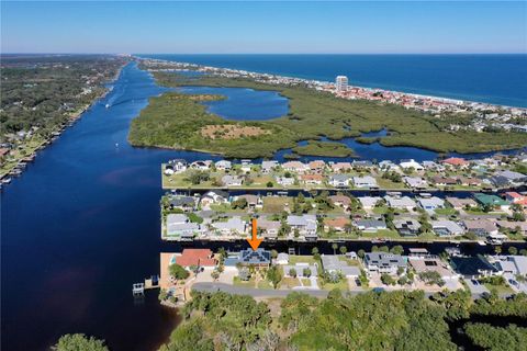 A home in FLAGLER BEACH