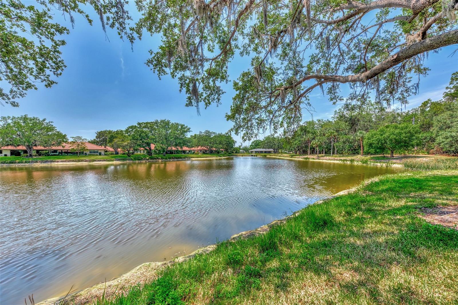 GOLF POINTE AT PALM-AIRE CC SEC 1 PH D - Residential Lease