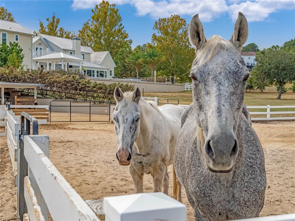 SUGAR RIDGE SUB - Residential