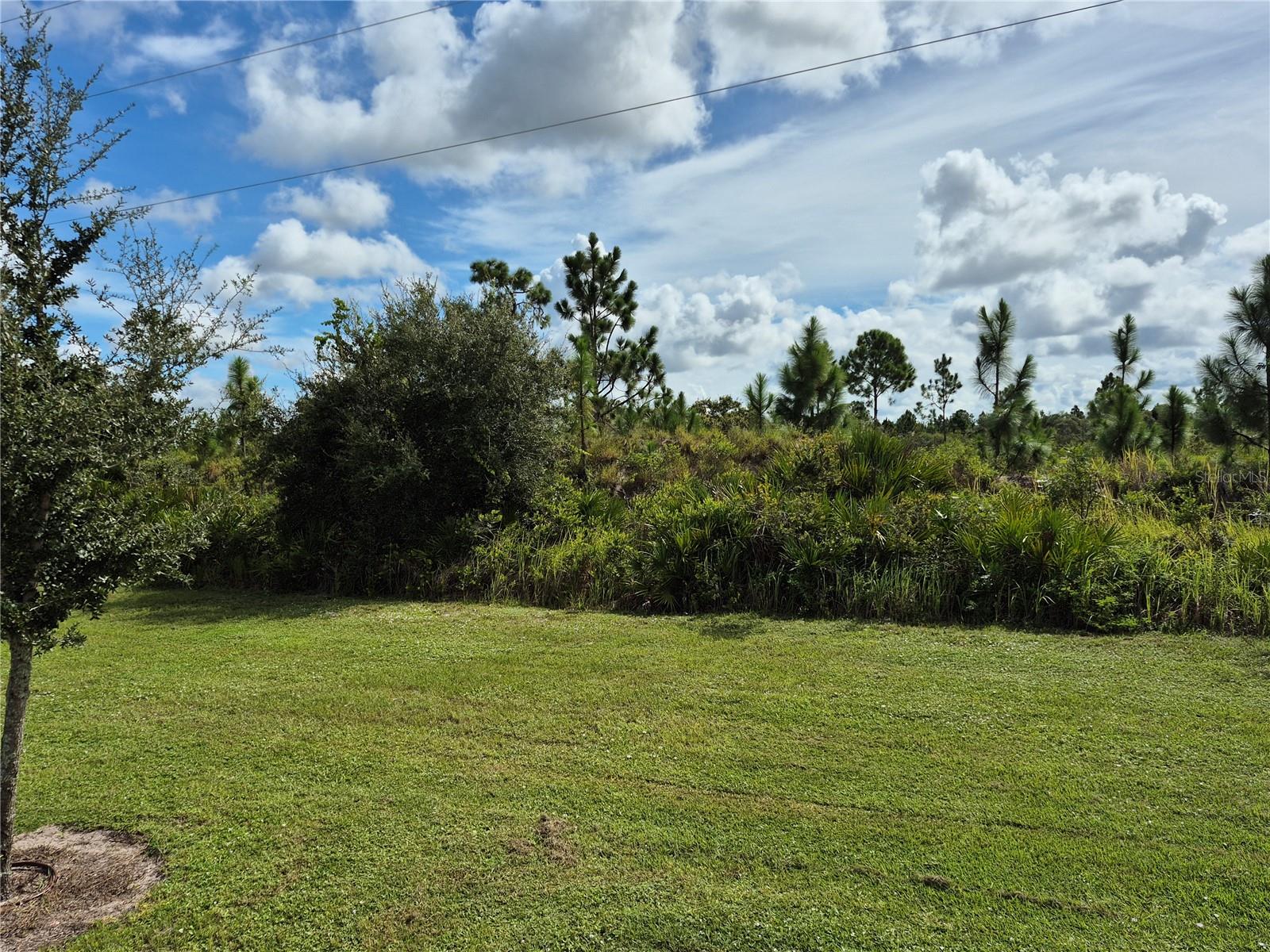 RESORT AT CANOPY OAKS - Land