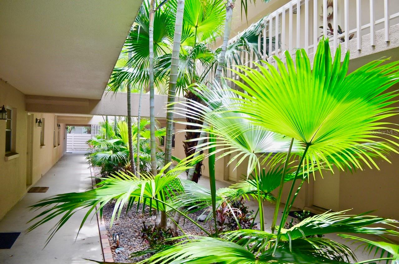 BERMUDA ON OSPREY - Residential Lease