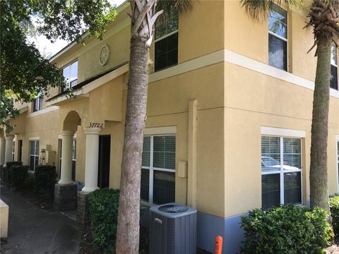 A home in ZEPHYRHILLS