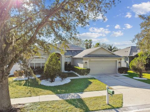 A home in TAMPA