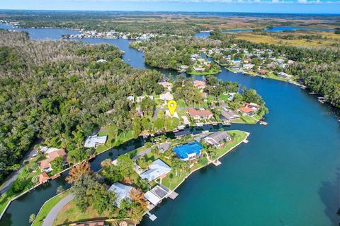 4287 S PURSLANE DRIVE HOMOSASSA FL 34448
