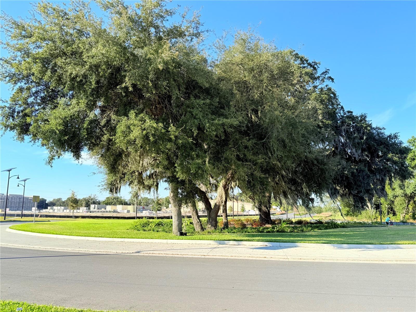 HAMMOCK OAKS PH 1B - Residential