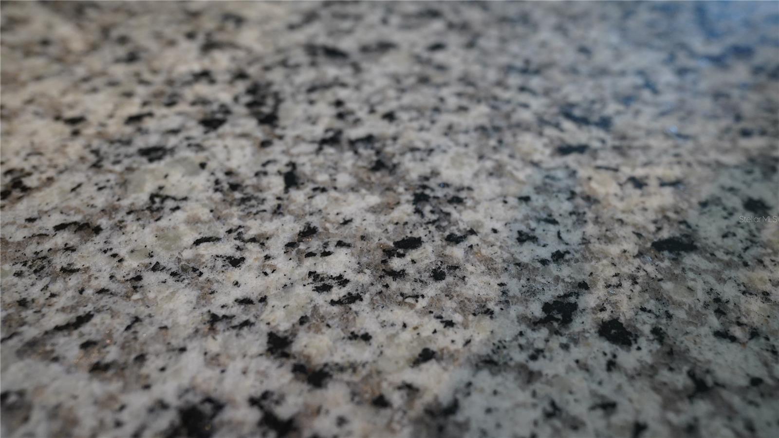 HAMMOCK OAKS PH 1B - Residential