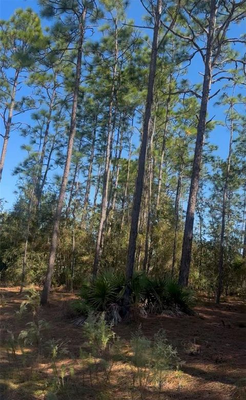 SW 128TH TERRACE ROAD OCALA FL 34481