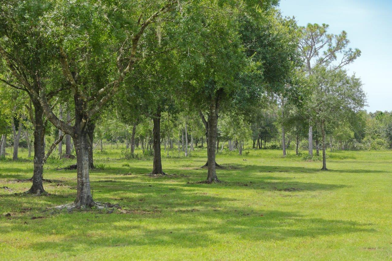 ACREAGE - Residential