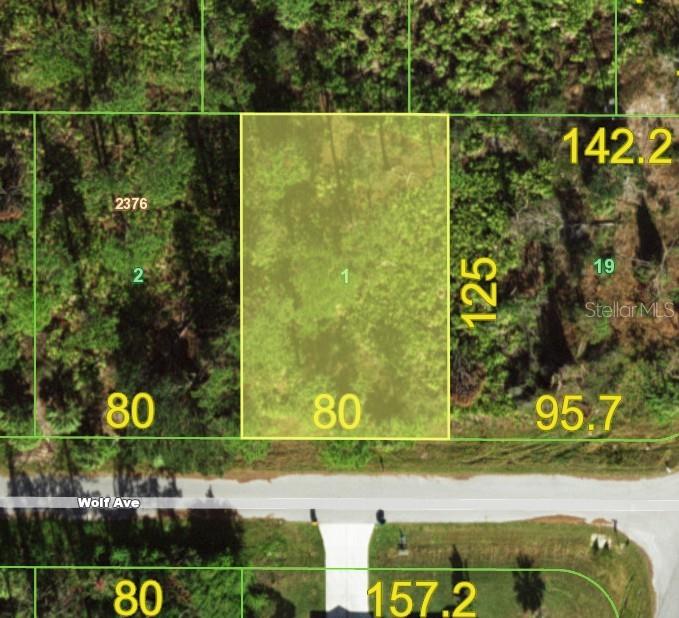 Discover the perfect opportunity to invest in one of Florida’s most promising up-and-coming neighborhoods. This spacious lot is ideally situated on a quiet, residential street surrounded by new construction and revitalized homes—signs of rapid growth and rising value.
Enjoy the best of both worlds: a peaceful setting with easy access to shopping, dining, schools, and major highways. Whether you’re looking to build your forever home or invest in a fast-developing area, this lot offers endless potential.
No HOA, no CDD, and utilities nearby make this a rare and valuable find. Don’t miss your chance to secure a piece of Florida’s future!