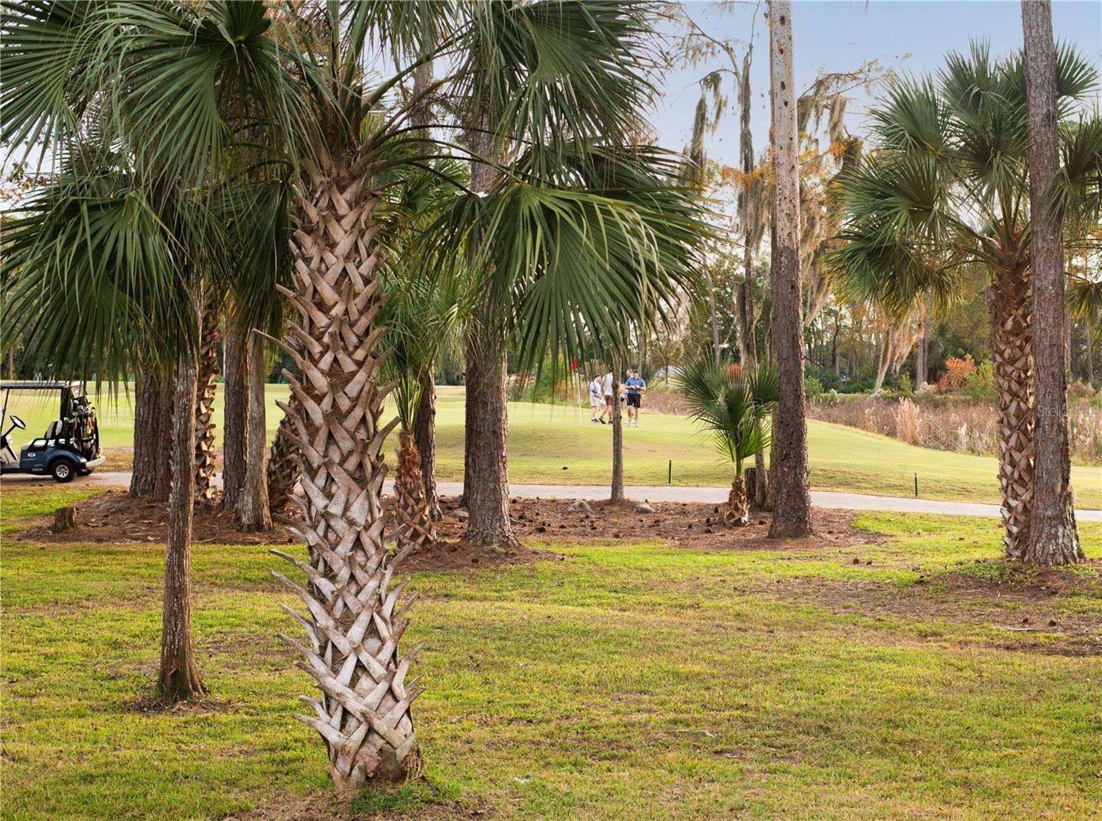 PALM COAST SEC 20 - Residential