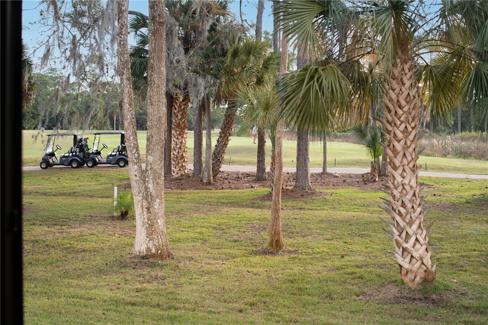 PALM COAST SEC 20 - Residential