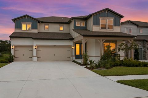 3559 MAPLE BAY LANE LAND O LAKES FL 34638