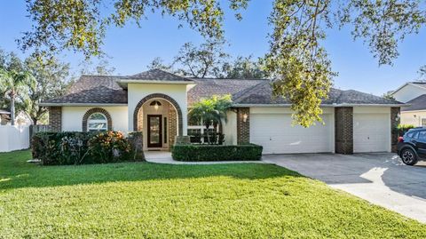 A home in VALRICO