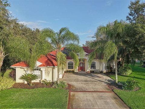 A home in LUTZ