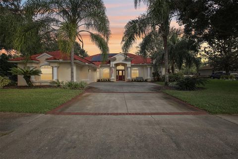 A home in LUTZ