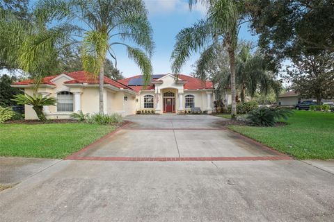 A home in LUTZ