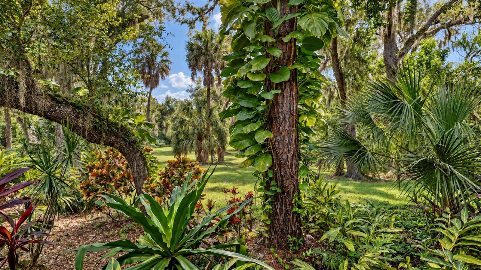 3477 HADFIELD GREENE 2, SARASOTA, FL, 34235 3 3477 HADFIELD GREENE 2