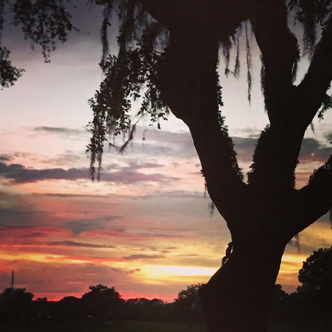 STRATHMORE VILLA SEC 09 - Residential