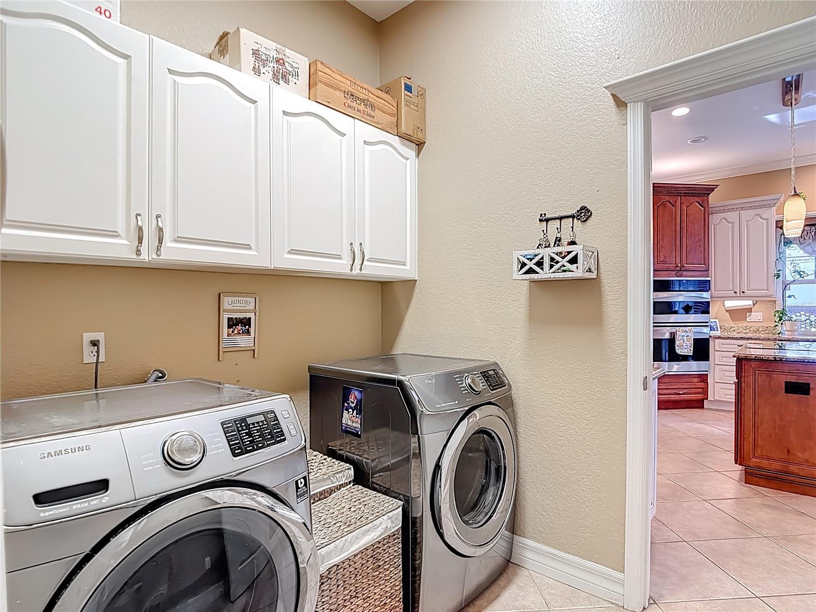 VALRICO FOREST - Residential