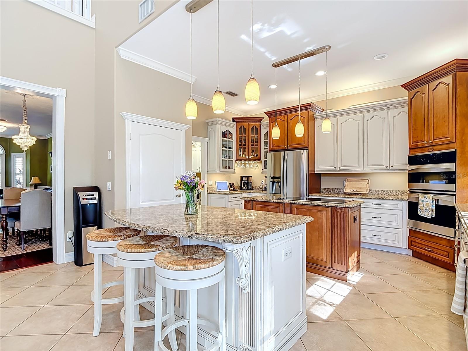 VALRICO FOREST - Residential