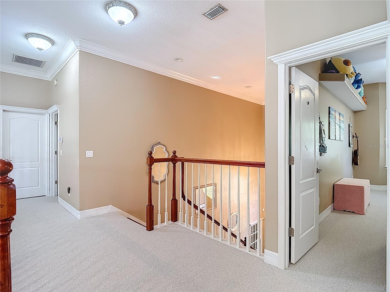 VALRICO FOREST - Residential