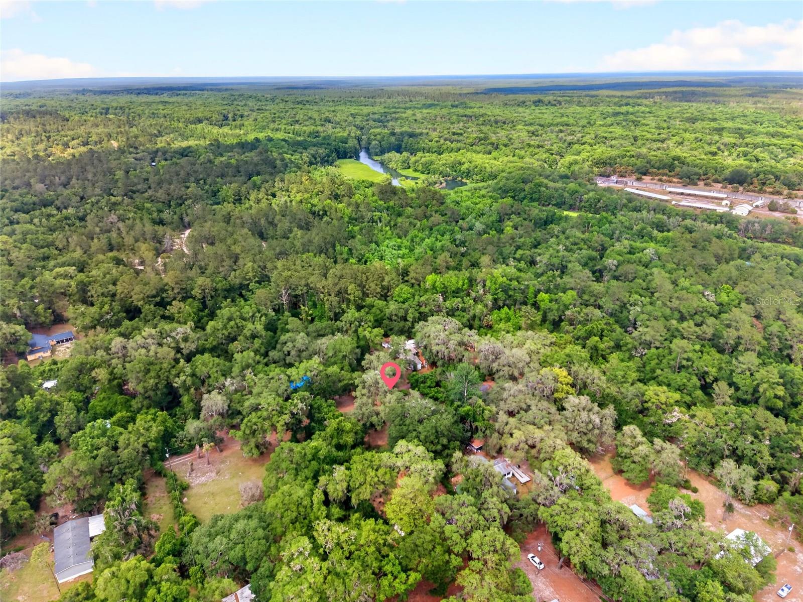 OCKLAWAHA RIVER ESTATE - Residential