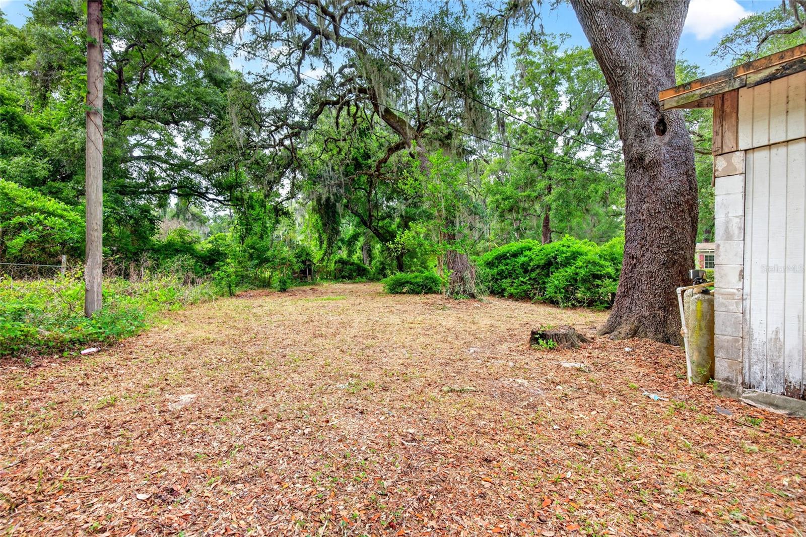OCKLAWAHA RIVER ESTATE - Residential