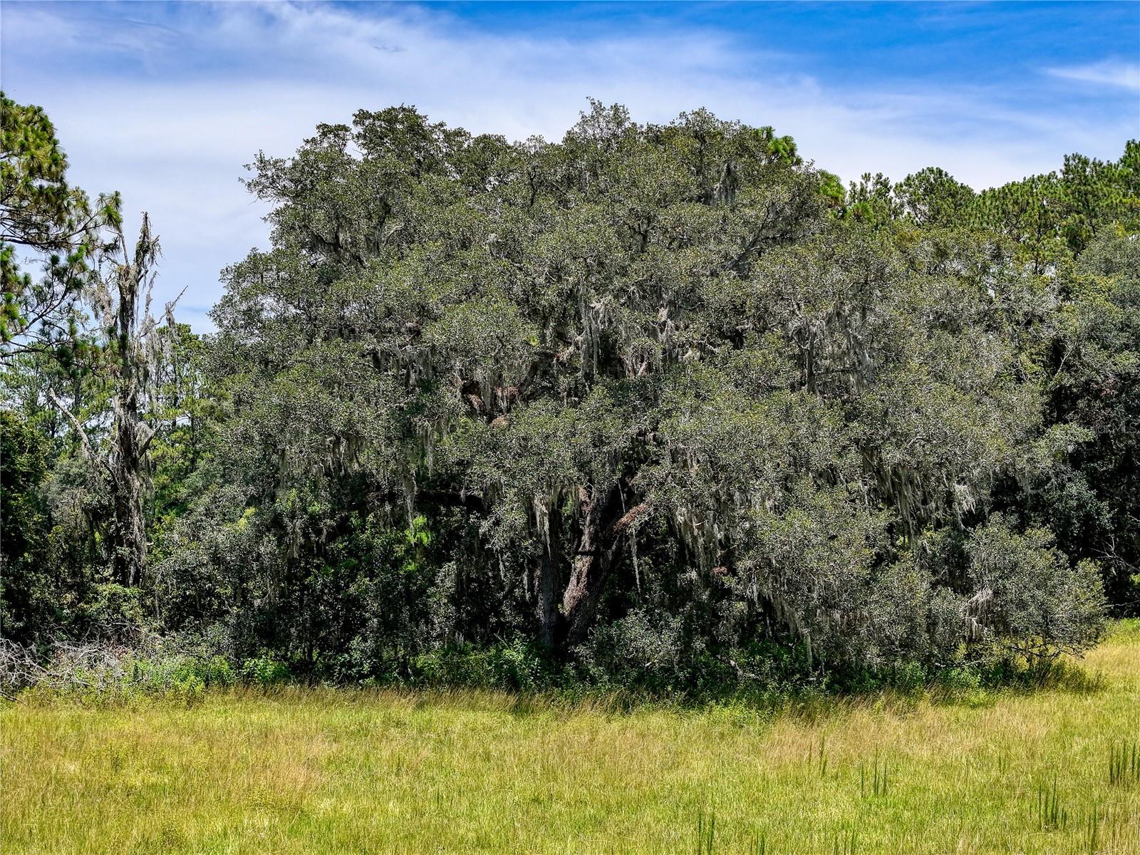 ACREAGE - Residential