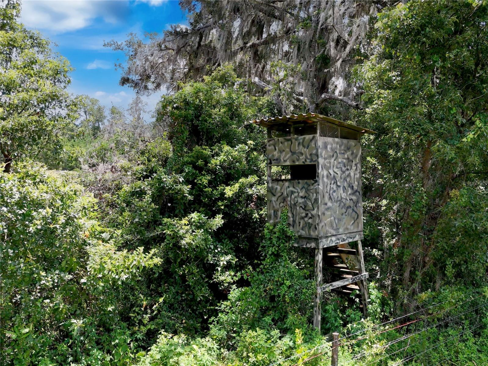 ACREAGE - Residential