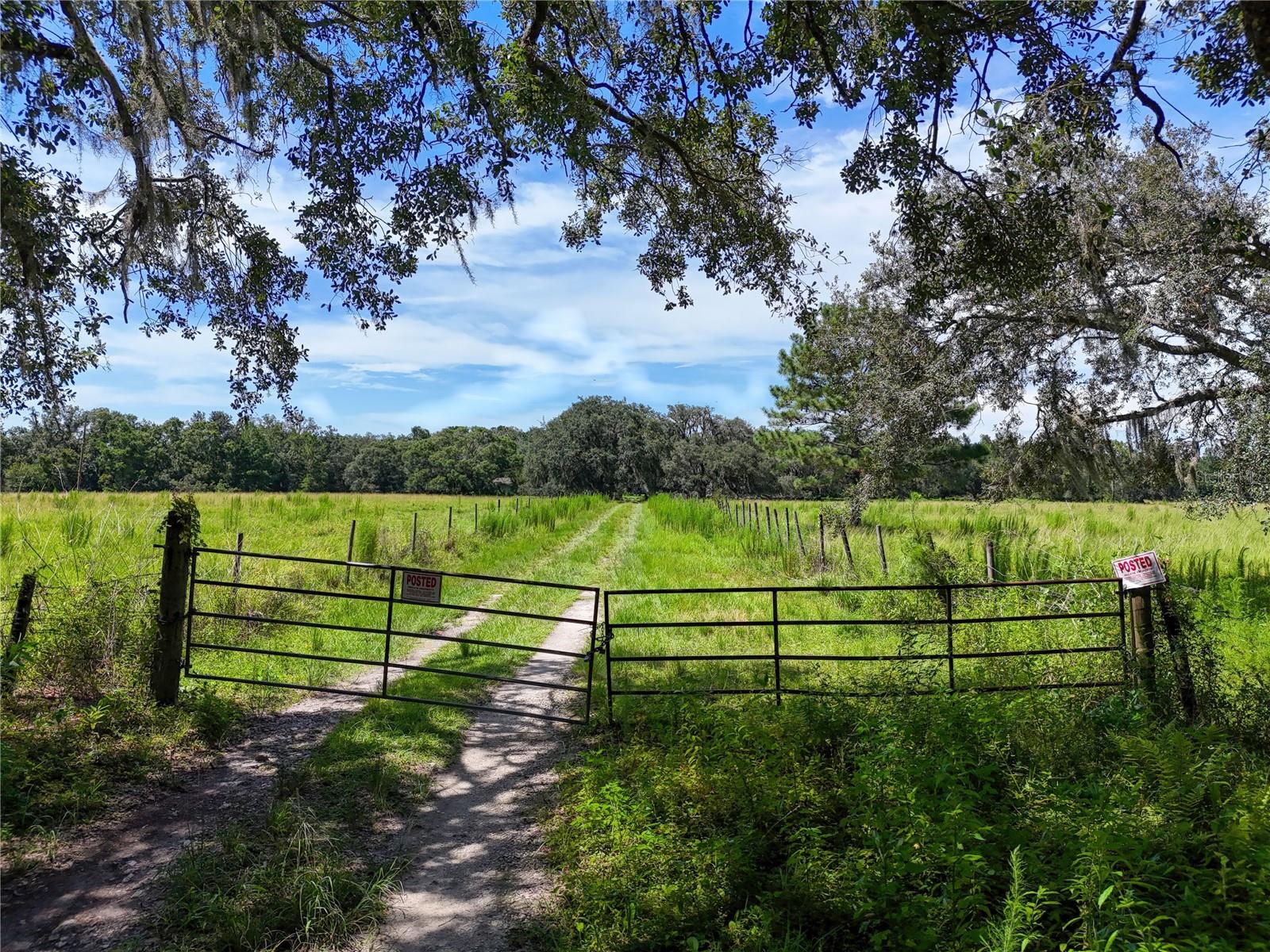 ACREAGE - Residential