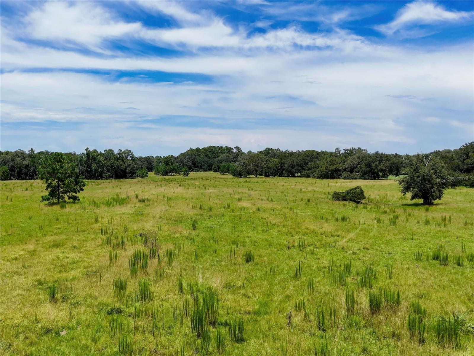 ACREAGE - Residential