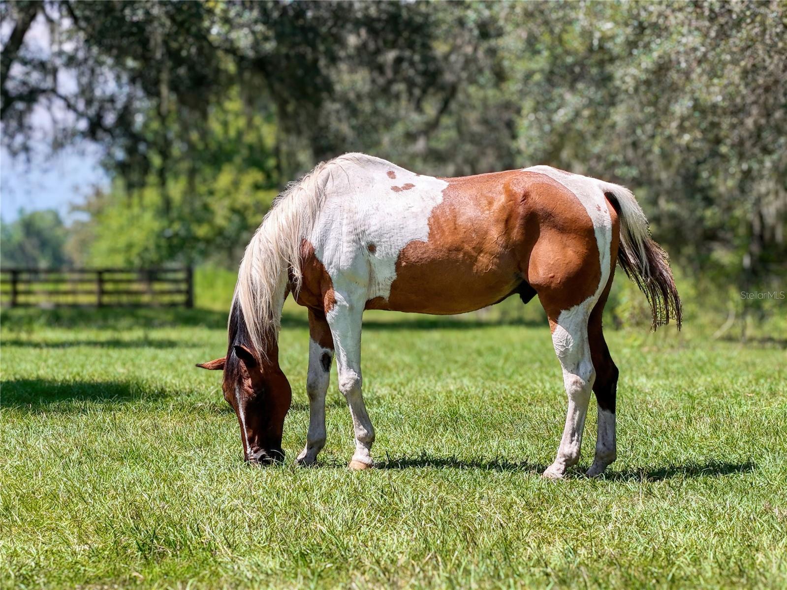 ACREAGE - Residential