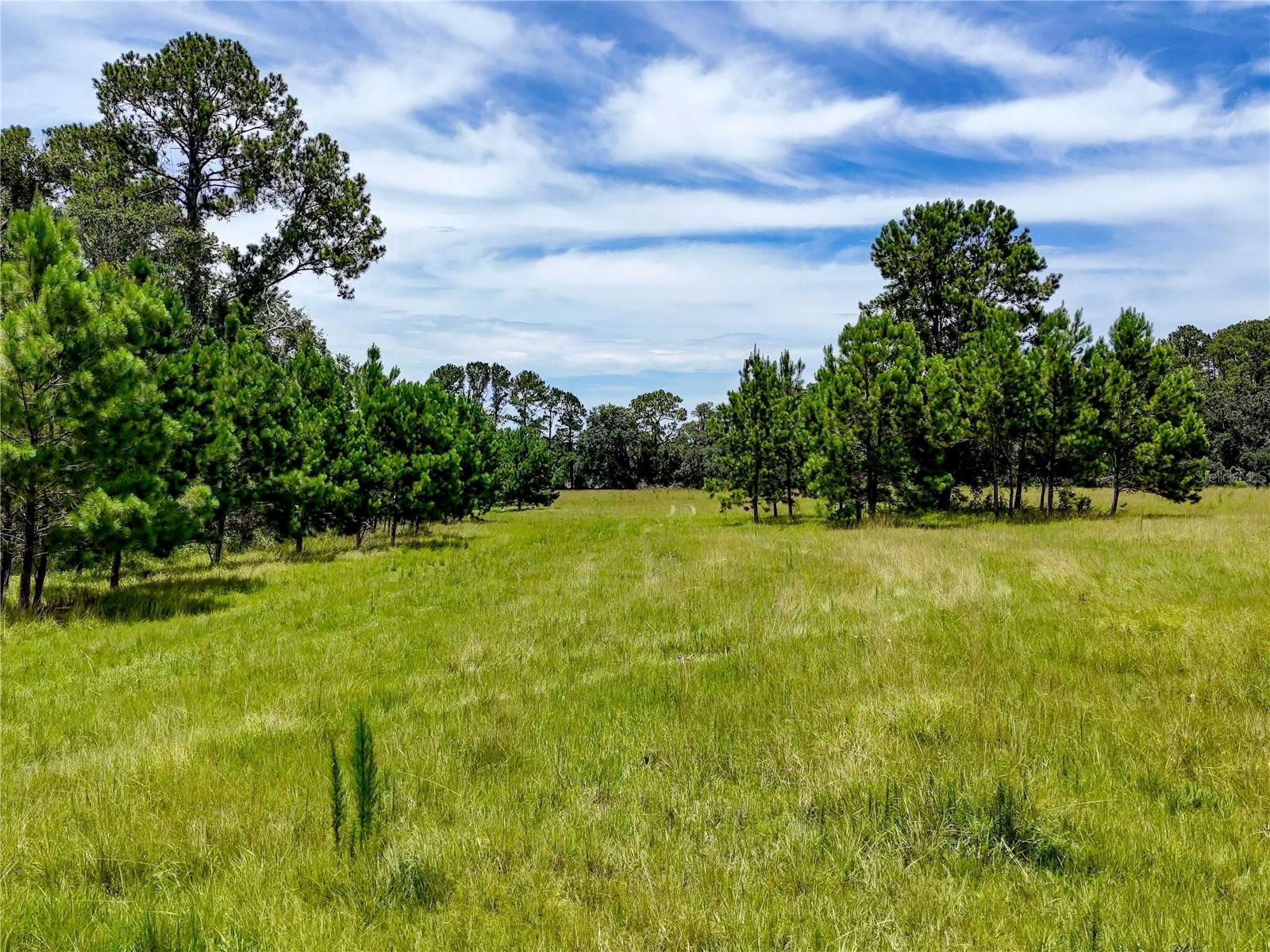 ACREAGE - Residential