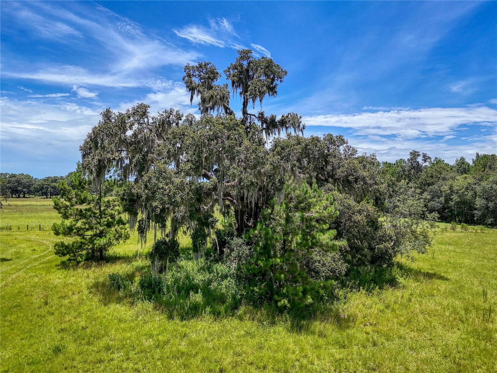 ACREAGE - Residential