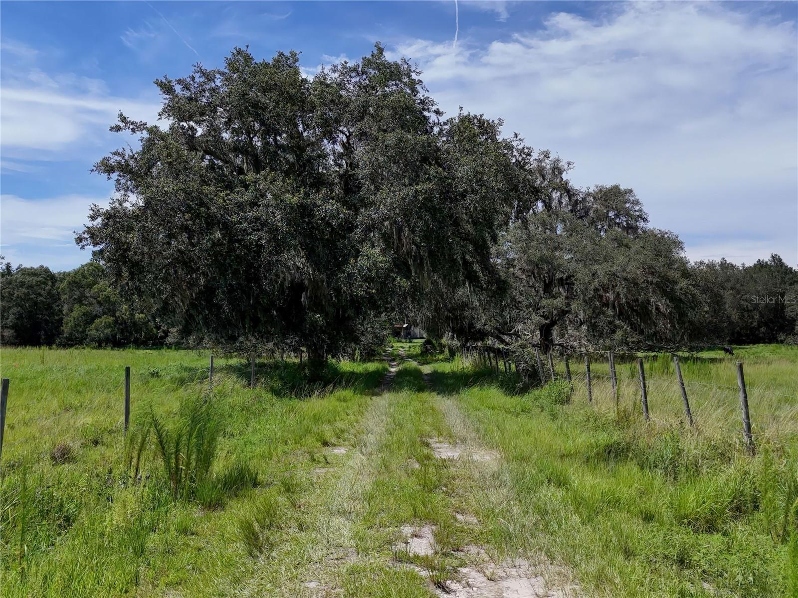 ACREAGE - Residential