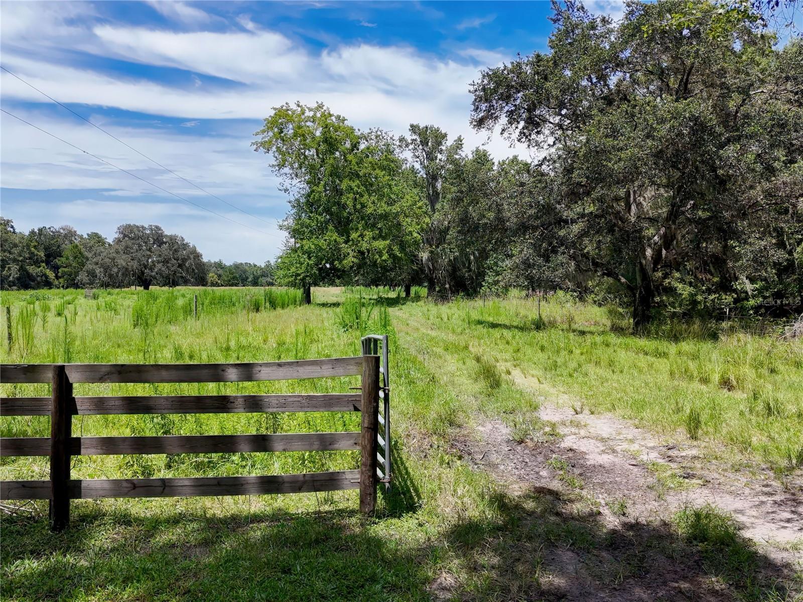 ACREAGE - Residential