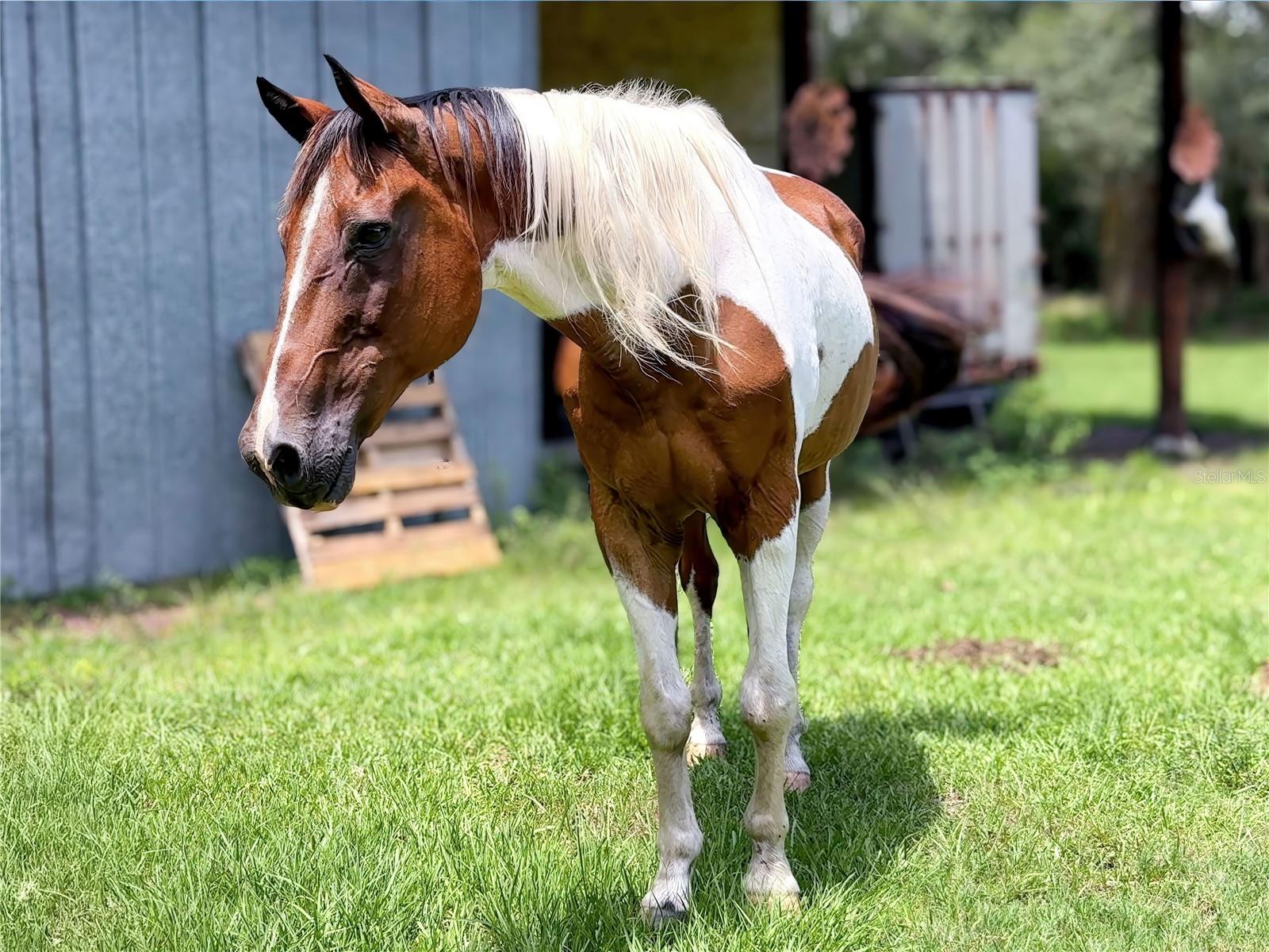 ACREAGE - Residential