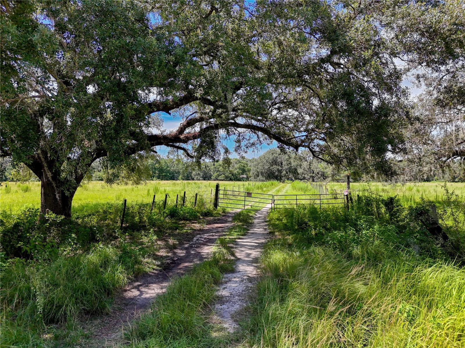 ACREAGE - Residential